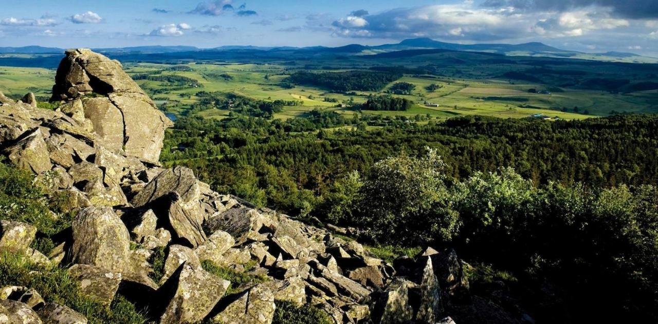Chalet De Crouzillac Tence Екстериор снимка